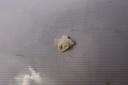 b801fde6-15ce-4de8-ba08-227a2a799674