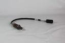 38f82a53-adca-46a4-9954-8d9c5c8b51c7