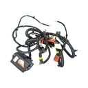 8c6f10d9-afc3-41a2-bfaa-51f086044b9f