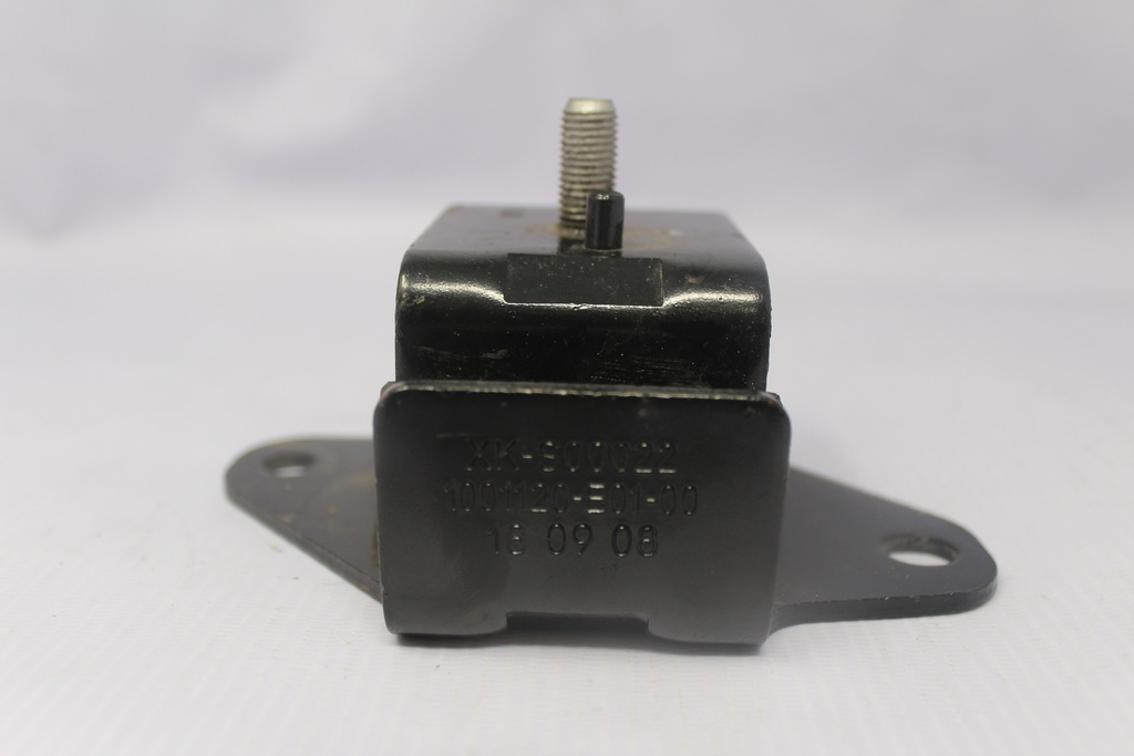 Soporte de motor LH