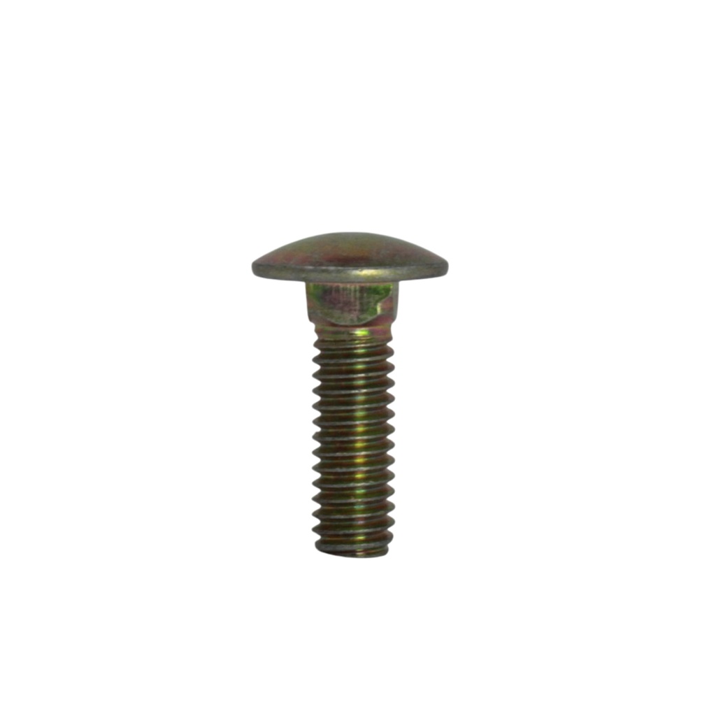 Tornillo de baranda 0,30m Randon